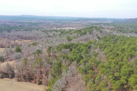 2934 Murphy Rd, Norman, AR 71960 photo 36