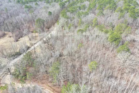 2934 Murphy Rd, Norman, AR 71960 photo 37