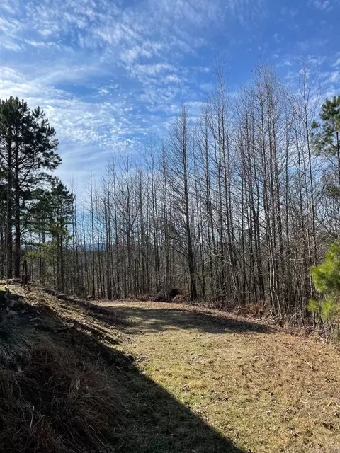 2934 Murphy Rd, Norman, AR 71960 photo 25