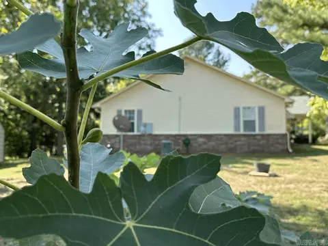 138 Watkins Ln, Mount Ida, AR 71957 photo 19