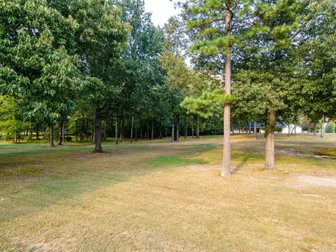 2944 Snow Ln, Alexander, AR 72002 photo 45