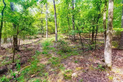 34 Bell Foley, Poughkeepsie, AR 72569 photo 16