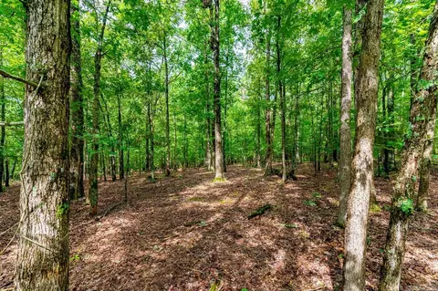 34 Bell Foley, Poughkeepsie, AR 72569 photo 18