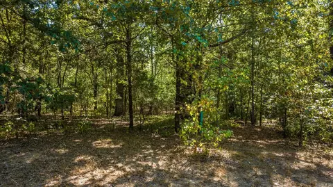 60 Ainley Rd, Austin, AR 72007 photo 46