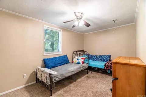 60 Ainley Rd, Austin, AR 72007 photo 25