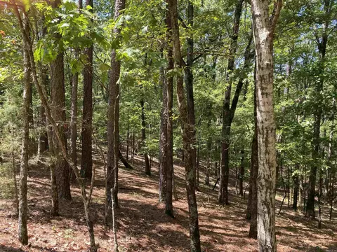 9 Hillside Trl, Mount Ida, AR 71957