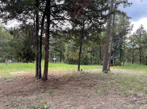 141 Prince Loop, Mountain View, AR 72560 photo 25