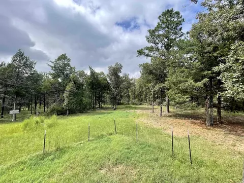 141 Prince Loop, Mountain View, AR 72560 photo 29