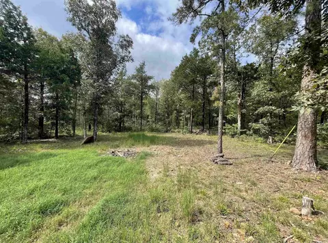 141 Prince Loop, Mountain View, AR 72560 photo 27