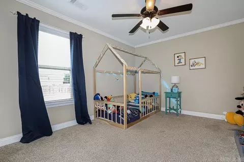 3114 Tobiano Cir, Benton, AR 72015 photo 24