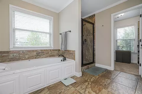 3114 Tobiano Cir, Benton, AR 72015 photo 39