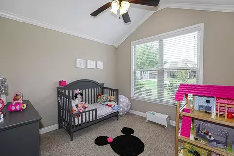 3114 Tobiano Cir, Benton, AR 72015 photo 30