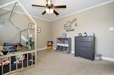 3114 Tobiano Cir, Benton, AR 72015 photo 25