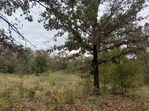 116 Emily Loop, Beebe, AR 72012 photo 2