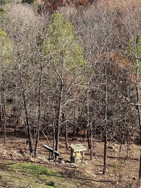14 Pine Mountain Dr, Conway, AR 72034 photo 49