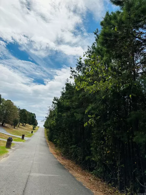 14 Pine Mountain Dr, Conway, AR 72034 photo 47