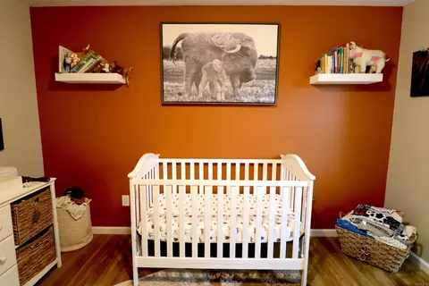 6 Redhead Dr, Conway, AR 72032 photo 33