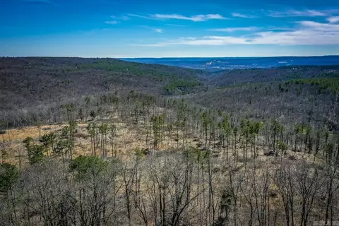 614 Henderson Rd, Clinton, AR 72031 photo 3