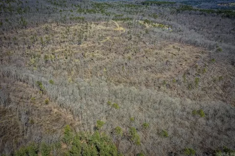 614 Henderson Rd, Clinton, AR 72031 photo 11