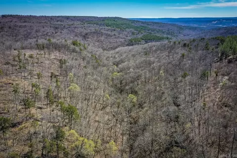 614 Henderson Rd, Clinton, AR 72031 photo 12