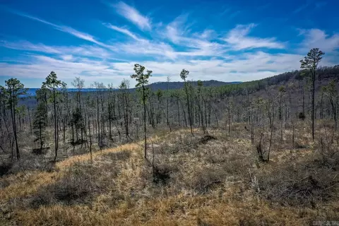 614 Henderson Rd, Clinton, AR 72031 photo 4