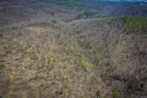 614 Henderson Rd, Clinton, AR 72031 photo 13