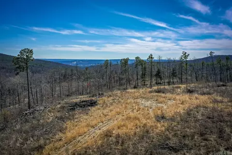 614 Henderson Rd, Clinton, AR 72031 photo 5