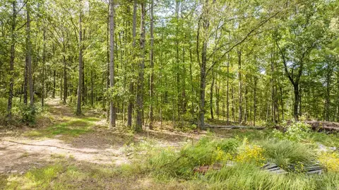 000 Pebble Dr, Clinton, AR 72031 photo 12
