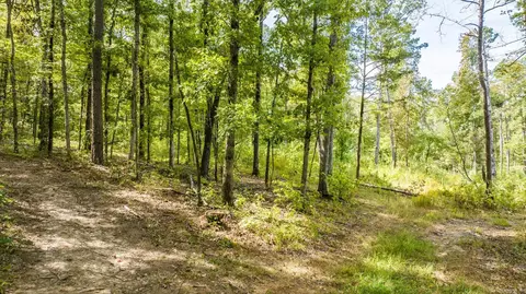 000 Pebble Dr, Clinton, AR 72031 photo 14