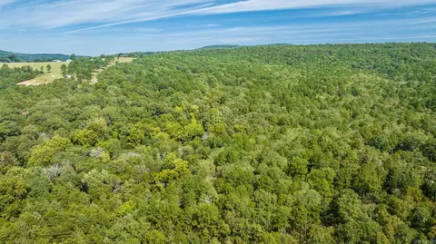 000 Pebble Dr, Clinton, AR 72031 photo 16