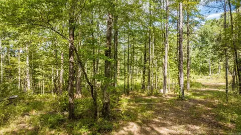 000 Pebble Dr, Clinton, AR 72031 photo 13