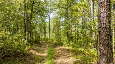 000 Pebble Dr, Clinton, AR 72031 photo 3