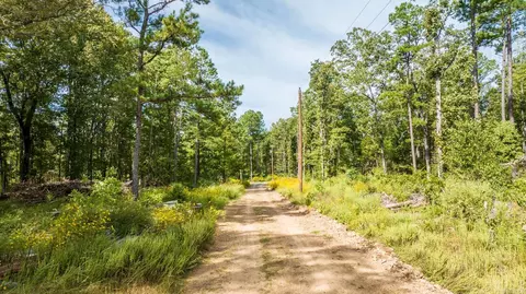 000 Pebble Dr, Clinton, AR 72031 photo 11