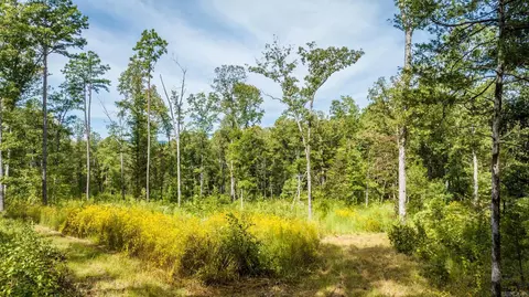 000 Pebble Dr, Clinton, AR 72031 photo 15