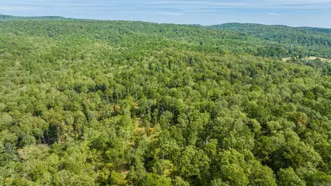 000 Pebble Dr, Clinton, AR 72031 photo 6