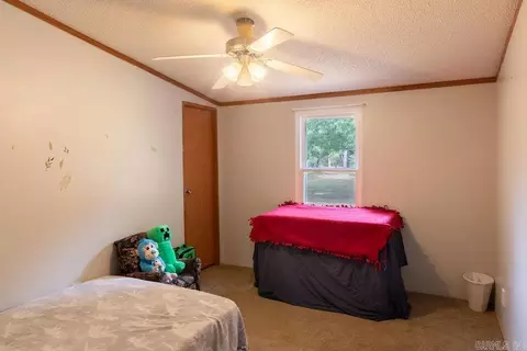 4812 Bauxite Cutoff Rd, Bauxite, AR 72011 photo 6