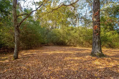 10319 Tadpole Rd, Cabot, AR 72023 photo 22