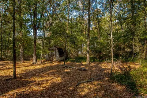 10319 Tadpole Rd, Cabot, AR 72023 photo 28