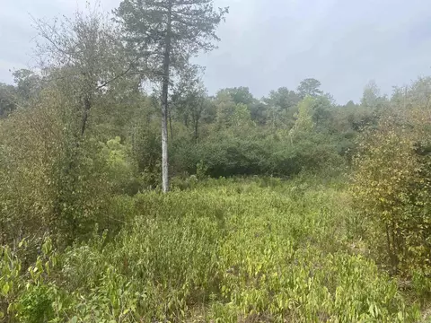 tbd Timberlake Dr, Royal, AR 71964 photo 8