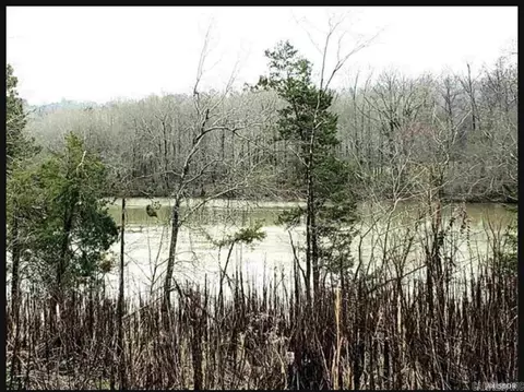 tbd Timberlake Dr, Royal, AR 71964 photo 2