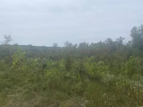tbd Timberlake Dr, Royal, AR 71964 photo 10