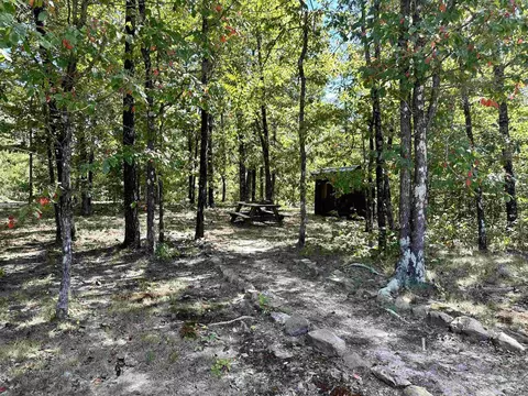 150 Devils Fork Ranch Rd, Drasco, AR 72530 photo 17