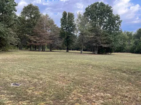 447 Post Office Rd, Dennard, AR 72629 photo 7