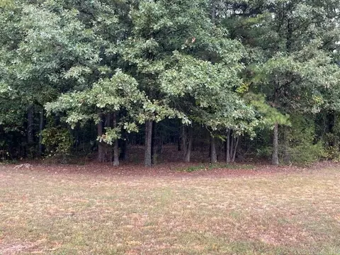 447 Post Office Rd, Dennard, AR 72629 photo 8