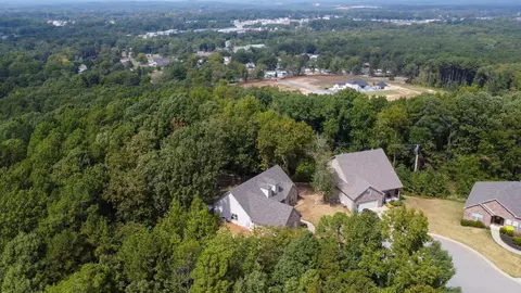 1079 Mountain Side Cv, Alexander, AR 72002 photo 42