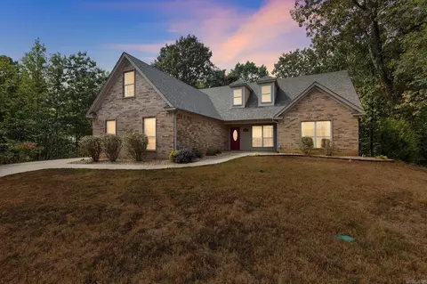 1079 Mountain Side Cv, Alexander, AR 72002 photo 39