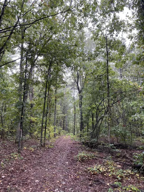 515 Everett Ridge Cuttoff Rd, Prim, AR 72130 photo 5