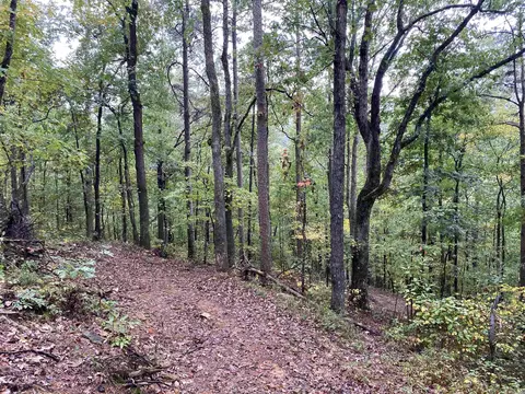 515 Everett Ridge Cuttoff Rd, Prim, AR 72130 photo 6