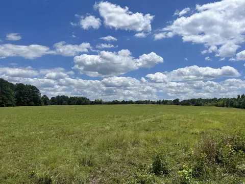 950 Bivens Rd, Quitman, AR 72131 photo 3