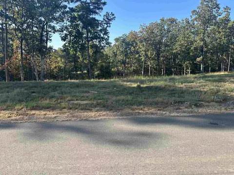 2925 Orchard View Dr, Conway, AR 72034